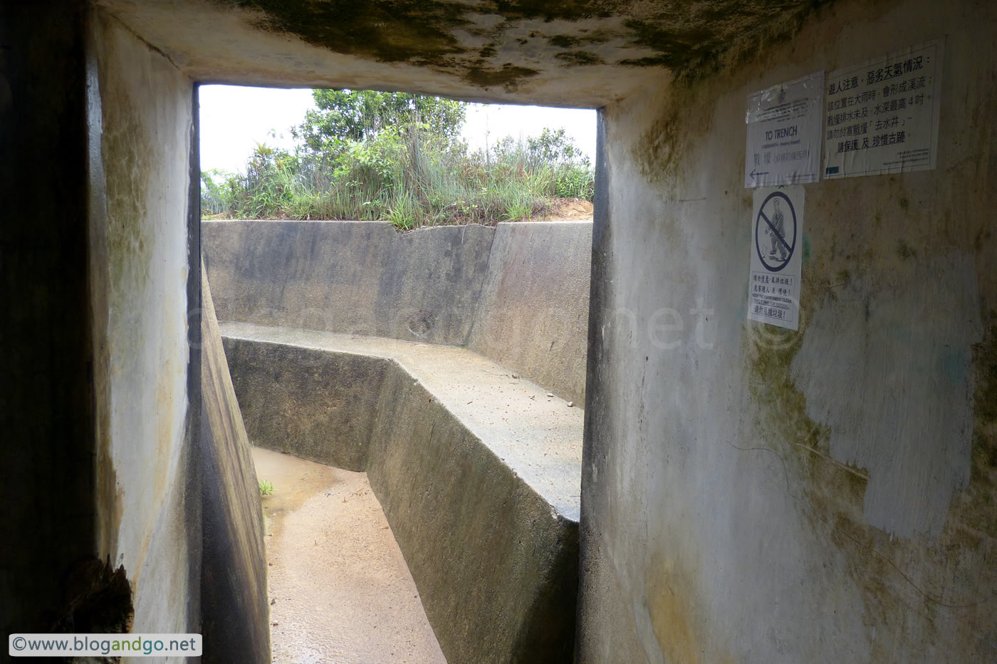 Maclehose 6 - Kitchen trenches